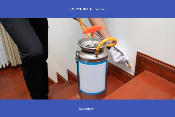 PEST CONTROL Muttontown